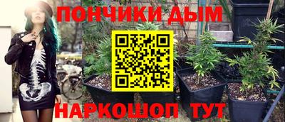 PSILOCYBIN Комсомольск-на-Амуре
