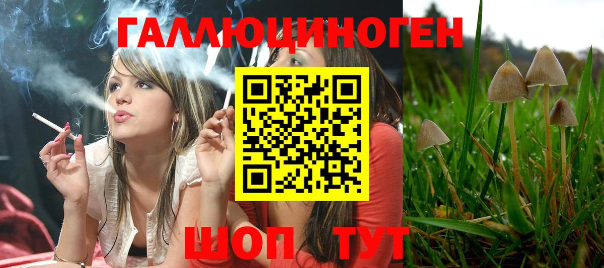 Псилоцибиновые грибы Cubensis Среднеуральск